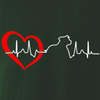 Stafordšírsky bulteriér  EKG Stafordšírsky bulteriér  EKG