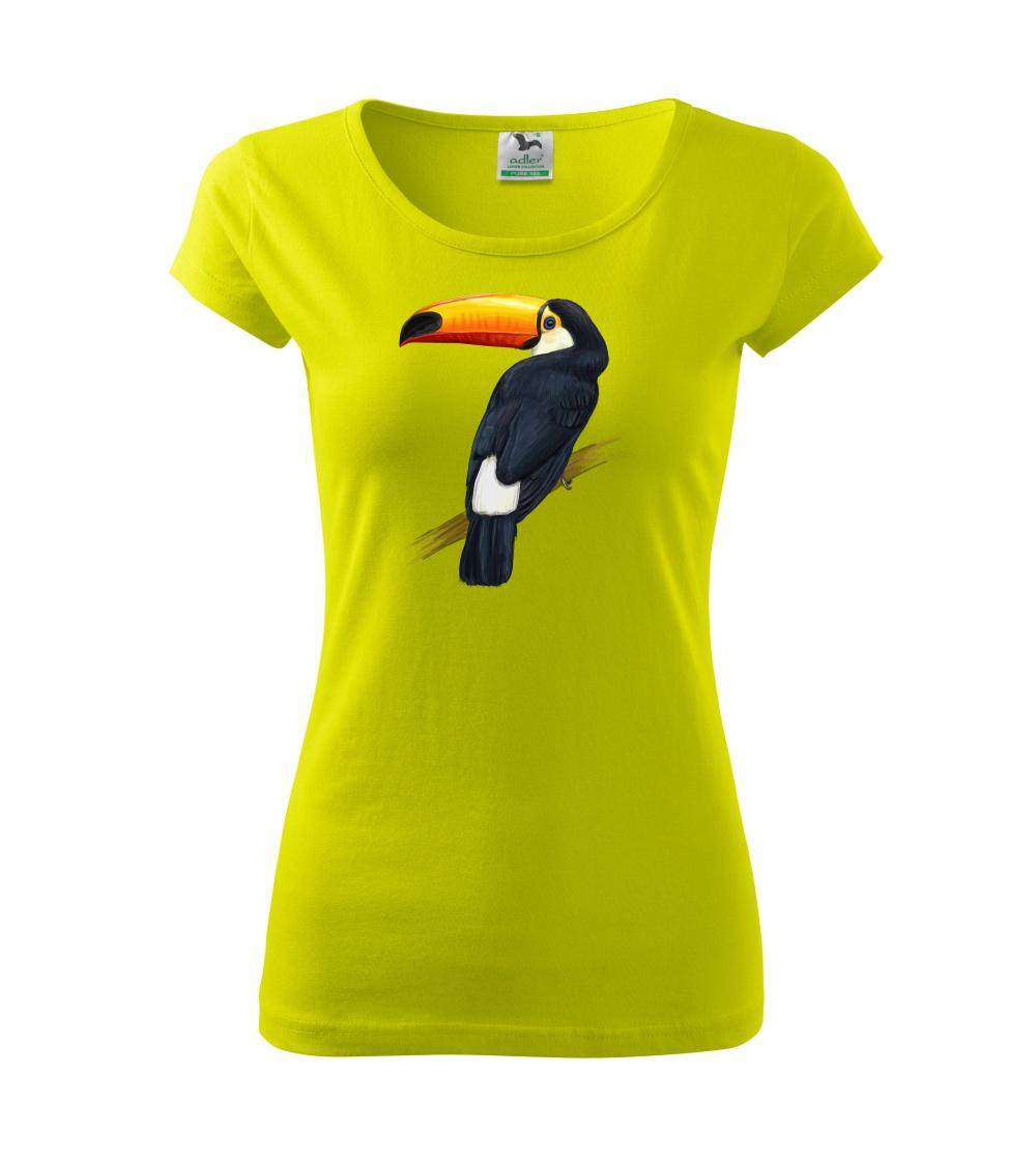 Tukan kreslený Tukan kreslený