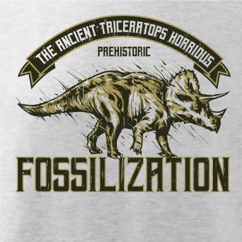 Triceratops fossil