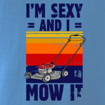 I'm sexy and i mow it I'm sexy and i mow it
