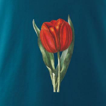 Červený tulipán
