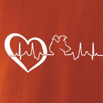 Borderská kólia EKG Borderská kólia EKG