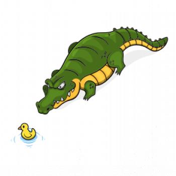 Krokodíl zelený s kačičkou