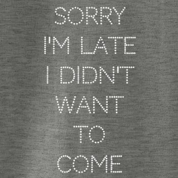 Sorry I am late i didn't want to come