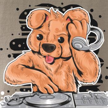DJ Teddy DJ Teddy