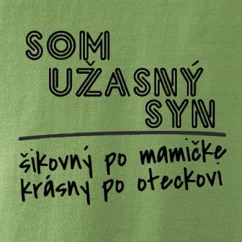 Som úžasný syn