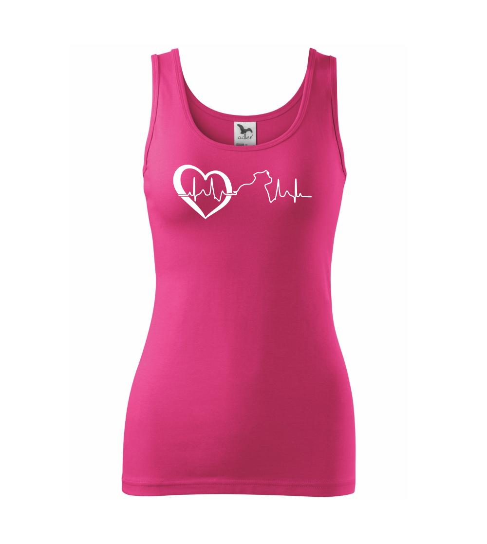 Stafordšírsky bulteriér  EKG Stafordšírsky bulteriér  EKG