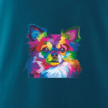 Čivava farebná Čivava farebná