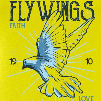 Bird dovefly