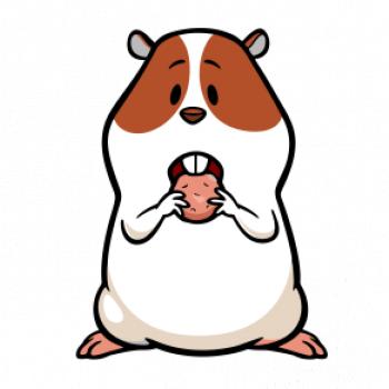 Hladný škrečok Hladný škrečok