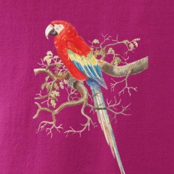 Papagáj  na listnatom strome Papagáj  na listnatom strome