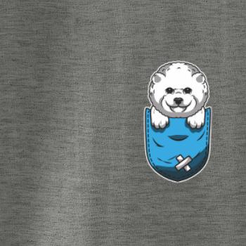 Bišónik v kapsičke