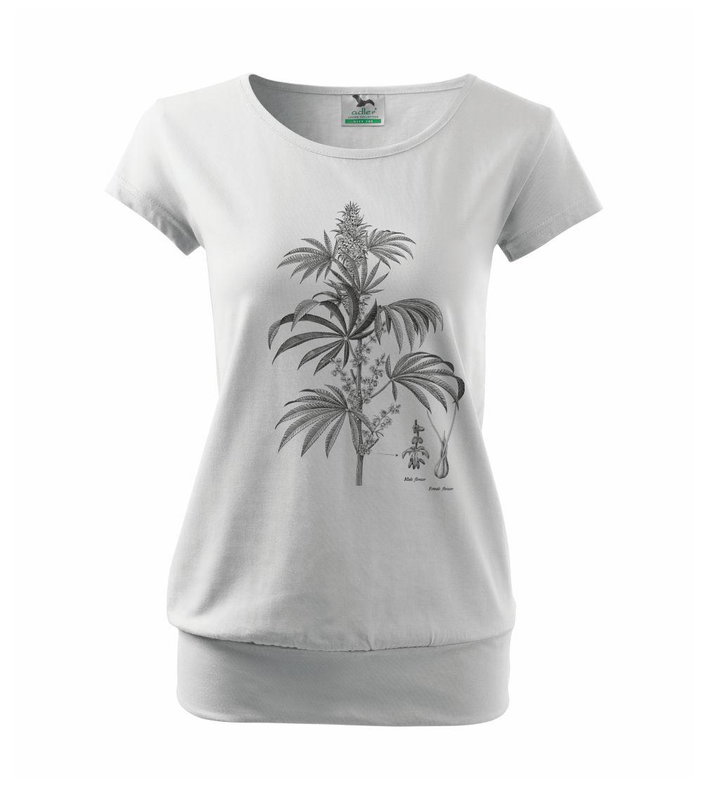 Konope kvietok čiernobiely   Konope kvietok čiernobiely