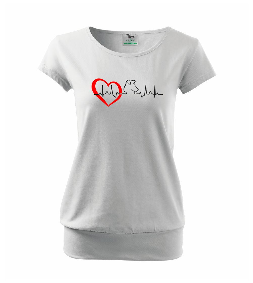 Borderská kólia EKG Borderská kólia EKG