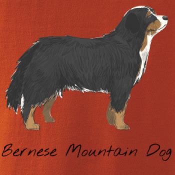 Bernese mountain dog kreslený