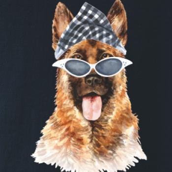 German shepherd so šatkou