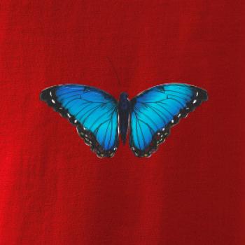 Motýľ Babôčka Morpho Peleides Motýľ Babôčka Morpho Peleides