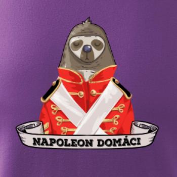 Napoleon domáci leňochod SK