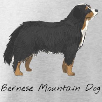 Bernese mountain dog kreslený