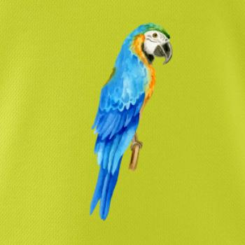Ara modrá kreslená Ara modrá kreslená