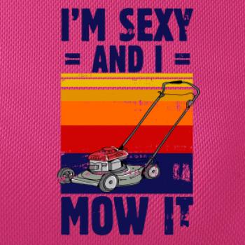 I'm sexy and i mow it