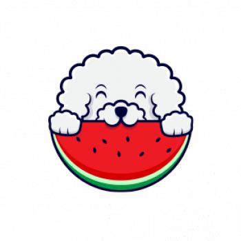 Bišónik s melónom