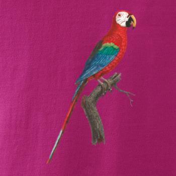 Papagáj červený na vetve