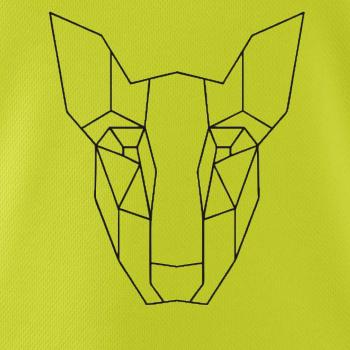 Americký Pit Bull Teriér - Geometria