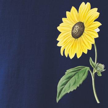 Slnečnica otočená