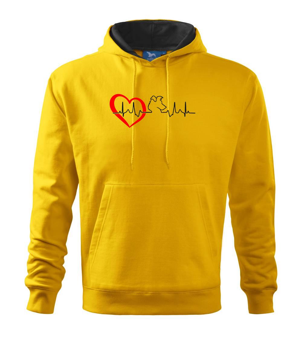 Borderská kólia EKG Borderská kólia EKG