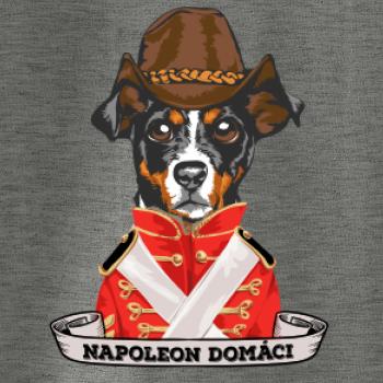 Napoleon domáci kríženec