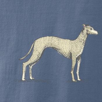 Vintage Whippet