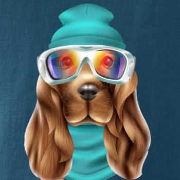 Jazvečík lyžiar   Jazvečík lyžiar