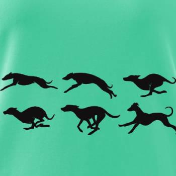 Chrt Pohyb Chrt Pohyb