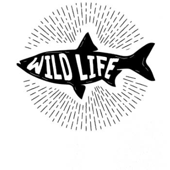 Wild life ryba