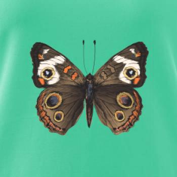 Motýľ motýle Motýľ motýle