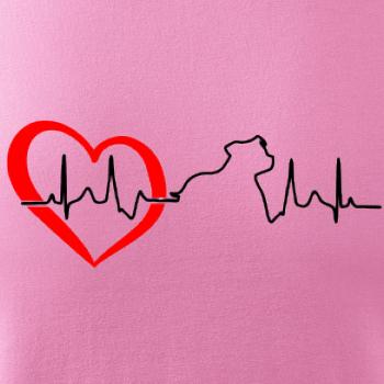 Stafordšírsky bulteriér ‎ EKG