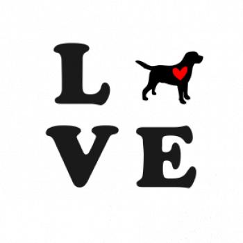 Labrador love