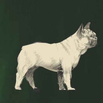 Vintage French bulldog