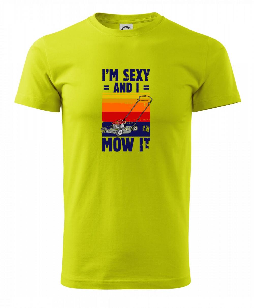 I'm sexy and i mow it I'm sexy and i mow it