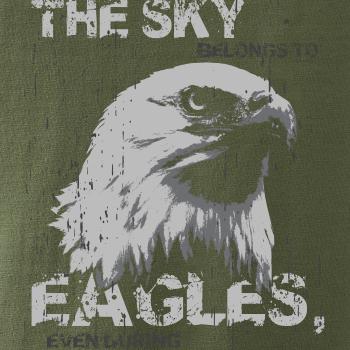 Eagle skystorm