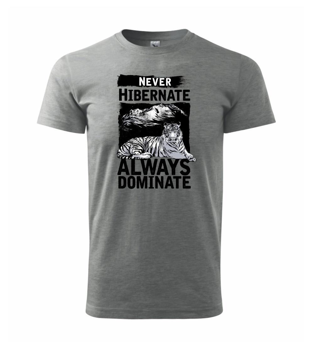 Never Hibernate Never Hibernate