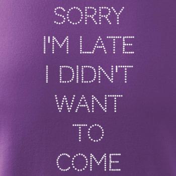 Sorry I am late i didn't want to come