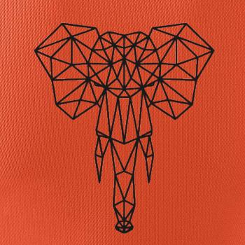 Geometria - slon chobot