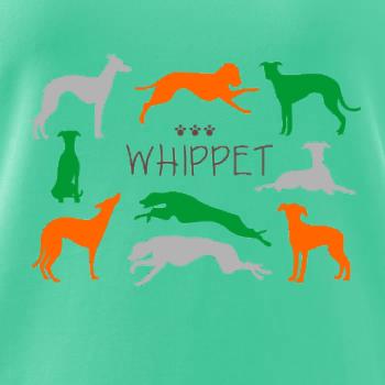 Whippet farebný Whippet farebný