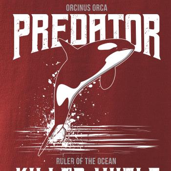 Orca predator