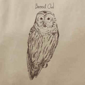 Sova pásikavá  Barred owl