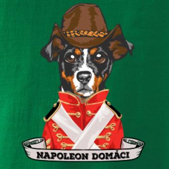 Napoleon domáci kríženec
