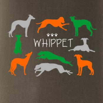 Whippet barevný