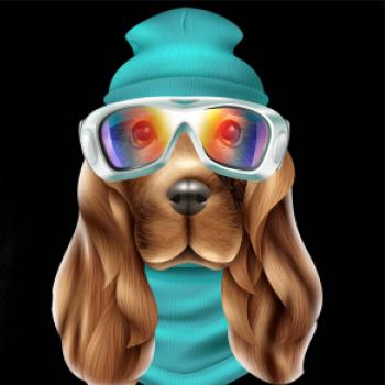 Jazvečík lyžiar   Jazvečík lyžiar